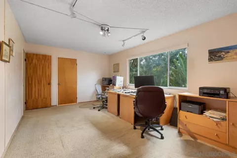 9341 Carmichael Dr, La Mesa, CA 91941 photo 49