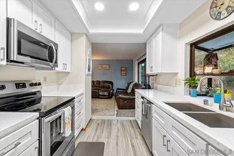 1490 Flair Encinitas Dr, Encinitas, CA 92024 photo 3