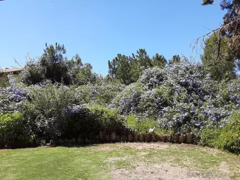 1737 Grove Rd, El Cajon, CA 92020 photo 8