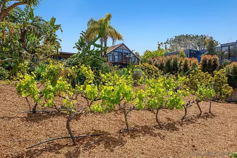 451 S Granados Ave, Solana Beach, CA 92075 photo 25