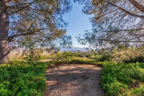 14145 Hillside Dr, Jamul, CA 91935 photo 45