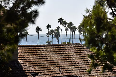 6145 Waverly Ave, La Jolla, CA 92037 photo 57