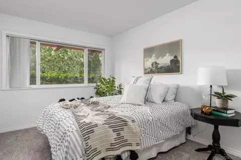 7770 Roseland Pl, La Jolla, CA 92037 photo 20