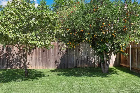 1354 S Maple St, Escondido, CA 92025 photo 19