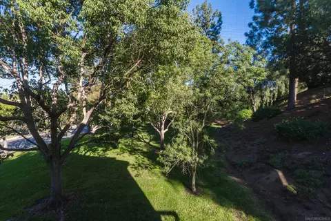 17729 Valle De Lobo Dr, Poway, CA 92064 photo 20