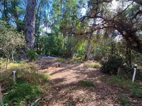 11126 Green Oaks Rd, Lakeside, CA 92040 photo 33