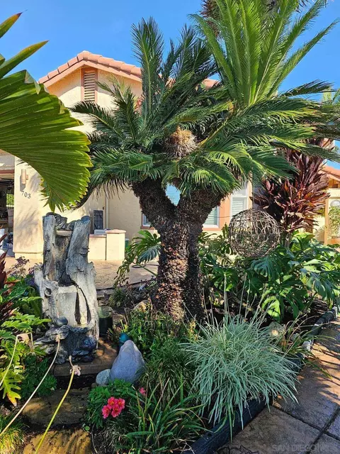 703 E J St, Chula Vista, CA 91910 photo 11