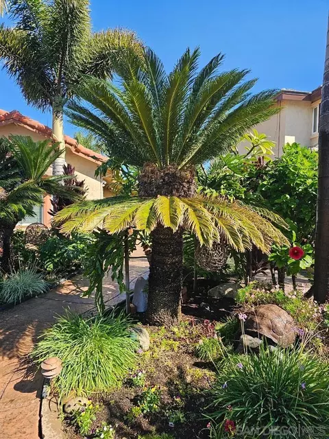 703 E J St, Chula Vista, CA 91910 photo 10