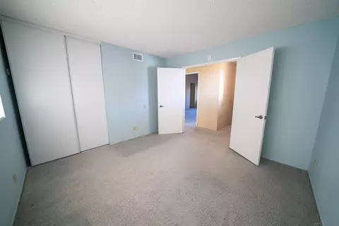 3219 Via Marin, La Jolla, CA 92037 photo 16