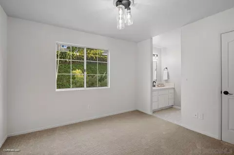 2739 Argonauta St, Carlsbad, CA 92009 photo 41