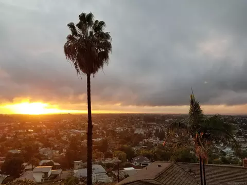 7984 Pasadena Ave, La Mesa, CA 91941 photo 16