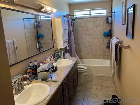44562 Brawley Ave, Jacumba, CA 91934 photo 16
