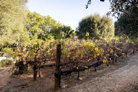 14014 Lake Poway Rd, Poway, CA 92064 photo 48