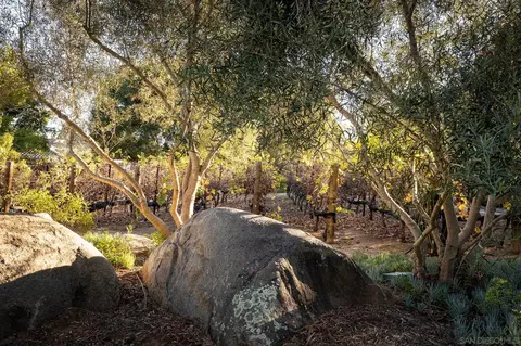 14014 Lake Poway Rd, Poway, CA 92064 photo 47