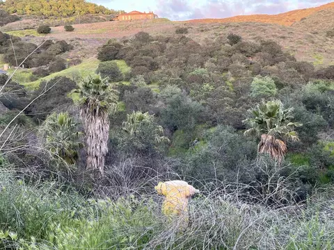 0 Margarita Gln #PARCEL 45, Fallbrook, CA 92028 photo 9