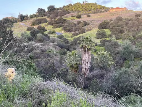 0 Margarita Gln #PARCEL 45, Fallbrook, CA 92028 photo 7