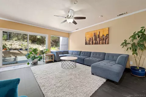 4312 Avenida Gregory, Spring Valley, CA 91977 photo 11