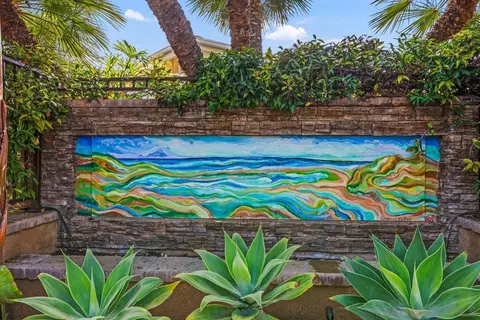 763 Snapdragon St, Encinitas, CA 92024 photo 22
