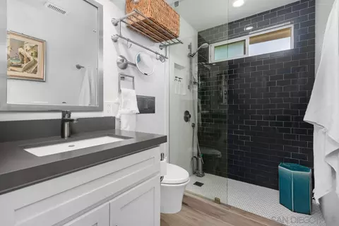 763 Snapdragon St, Encinitas, CA 92024 photo 14