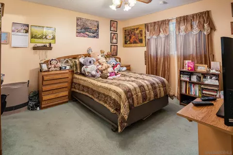 874 Galopago St, Spring Valley, CA 91977 photo 19