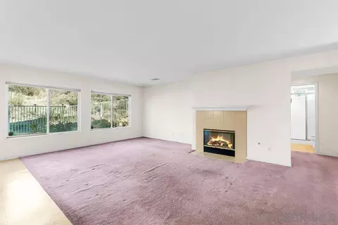 10421 Magical Waters Ct, Spring Valley, CA 91978 photo 10