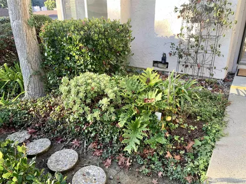3175 Evening Way UNIT A, La Jolla, CA 92037 photo 6