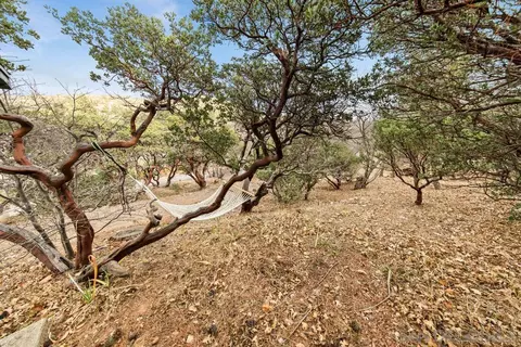 View/Area - 813 Pine Cone Dr, Julian, CA 92036 photo 4 of 7