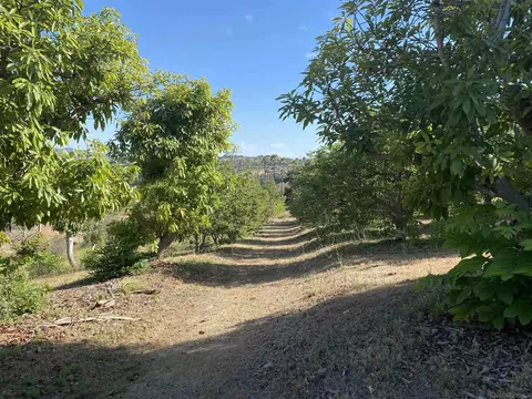 1780 Rabbit Hl, Fallbrook, CA 92028 photo 58