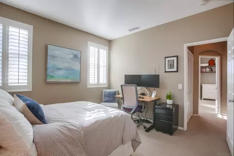 382 Carmel Creeper Pl, Encinitas, CA 92024 photo 23