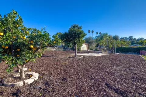 1440 Los Conejos Rd, Fallbrook, CA 92028 photo 20