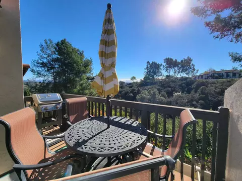116 S Darien Dr, Encinitas, CA 92024 photo 22