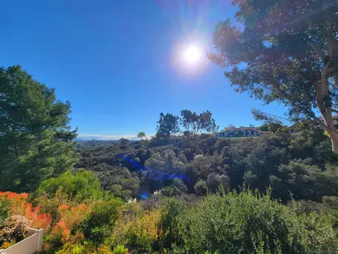 116 S Darien Dr, Encinitas, CA 92024 photo 23