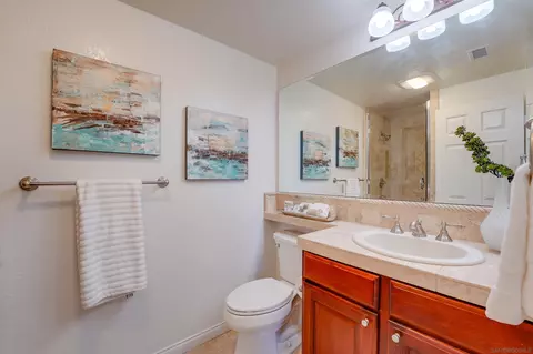 1343 Caminito Balada, La Jolla, CA 92037 photo 35