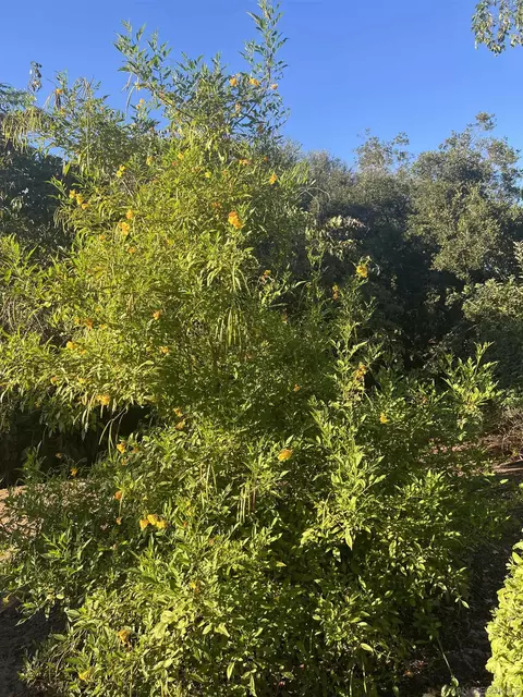 Exterior - 15918 Lime Grove Rd, Poway, CA 92064 photo 14 of 15
