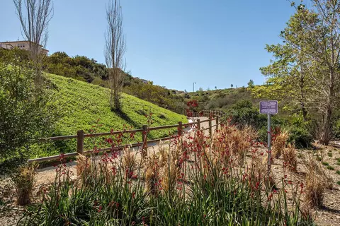 3371 Corte Panorama, Carlsbad, CA 92009 photo 42