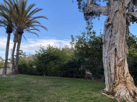 Undisclosed, Oceanside, CA 92056 photo 11