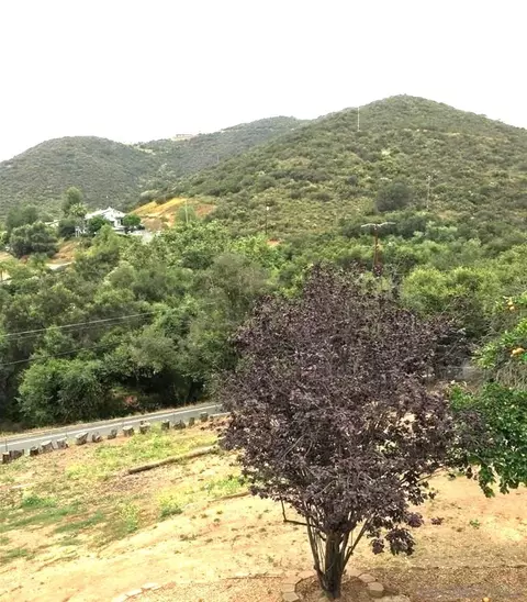 15029 Woods Valley Rd, Valley Center, CA 92082