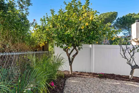 Exterior - 1437 Temple Heights Dr, Oceanside, CA 92056 photo 10 of 12