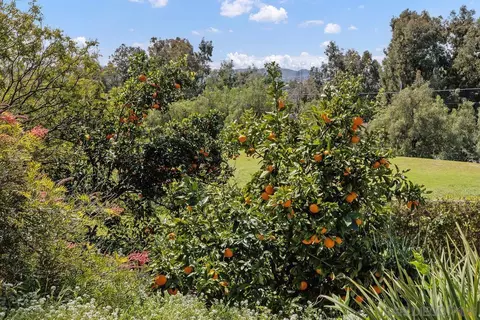 15121 Country Hill Rd, Poway, CA 92064 photo 37