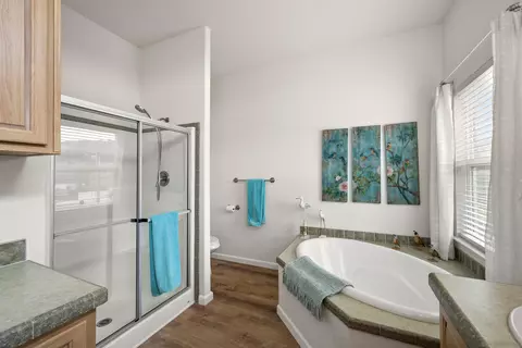 Bath - 13300 Los Coches Rd E #13, El Cajon, CA 92021 photo 2 of 4