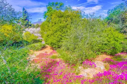 Exterior - 16325 Avenida Florencia, Poway, CA 92064 photo 4 of 15