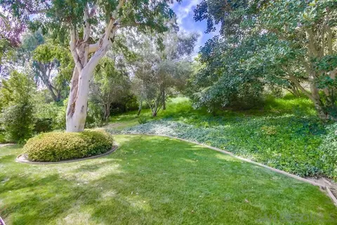 6746 Avenida Andorra, La Jolla, CA 92037 photo 51