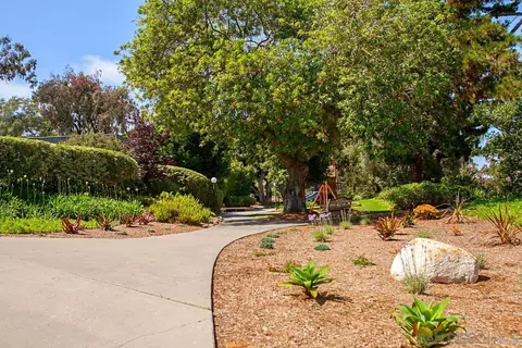 8867 Caminito Primavera, La Jolla, CA 92037 photo 45