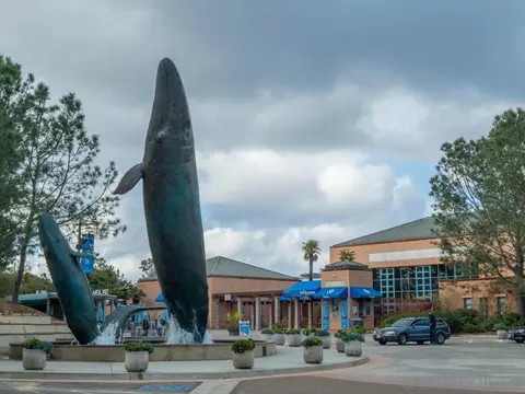 8867 Caminito Primavera, La Jolla, CA 92037 photo 51