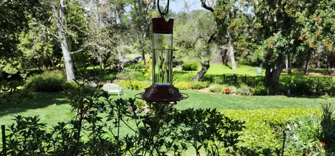 Exterior - 13636 Jack Rabbit Rd, Poway, CA 92064 photo 3 of 11