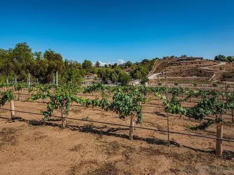 Exterior - 33928 Calle Vis, Temecula, CA 92592 photo 10 of 10