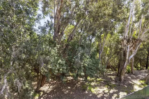 2412 Altisma Way #E, Carlsbad, CA 92009 photo 16
