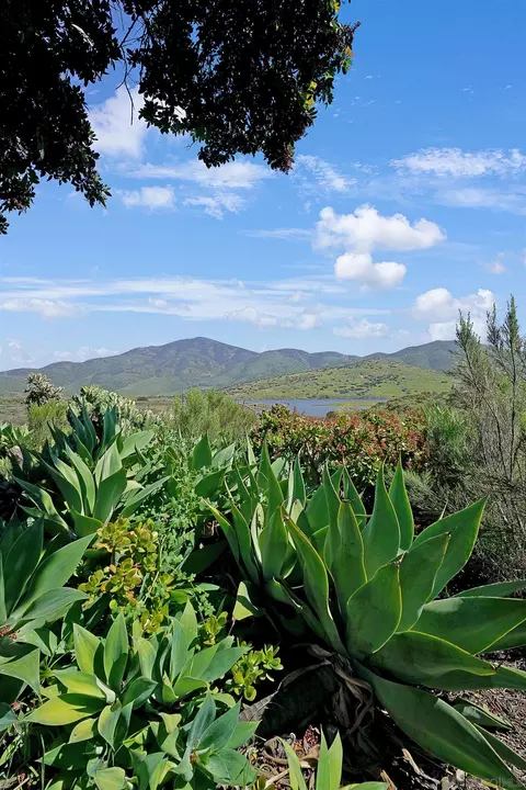 View/Area - 9767 San Diego St, Spring Valley, CA 91977 photo 5 of 5