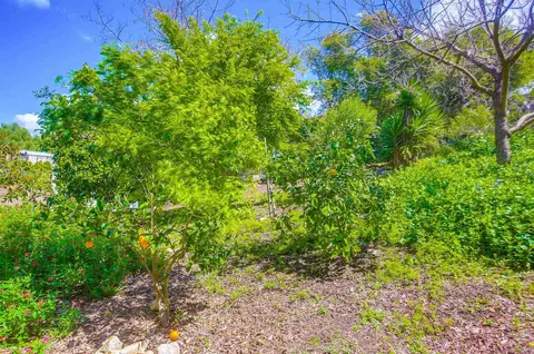 Exterior - 925 Berkeley Way, Vista, CA 92084 photo 22 of 24
