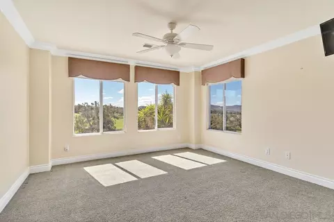 302 Crownview Ct, San Marcos, CA 92069 photo 39